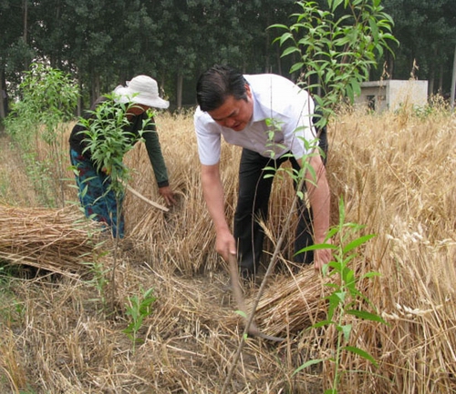 区委书记郑灏东到兴达路街道办事处视察麦收情况