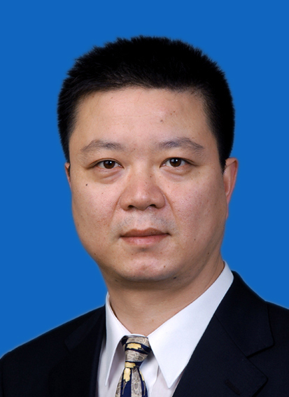 魏东 区委副书记,区长